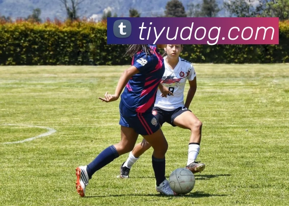 体育下注平台全站App